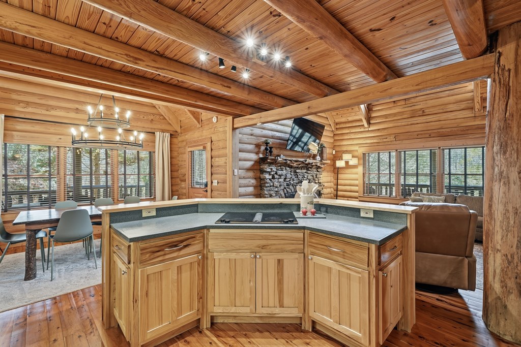 252 Branch Creek Road Blue Ridge, GA 30513 - Photo 47 of 79