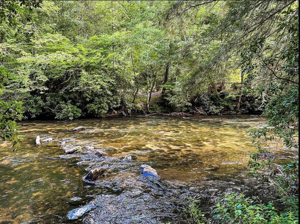 252 Branch Creek Road Blue Ridge, GA 30513 - Photo 5 of 79