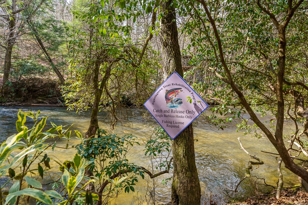 252 Branch Creek Road Blue Ridge, GA 30513 - Photo 8 of 79