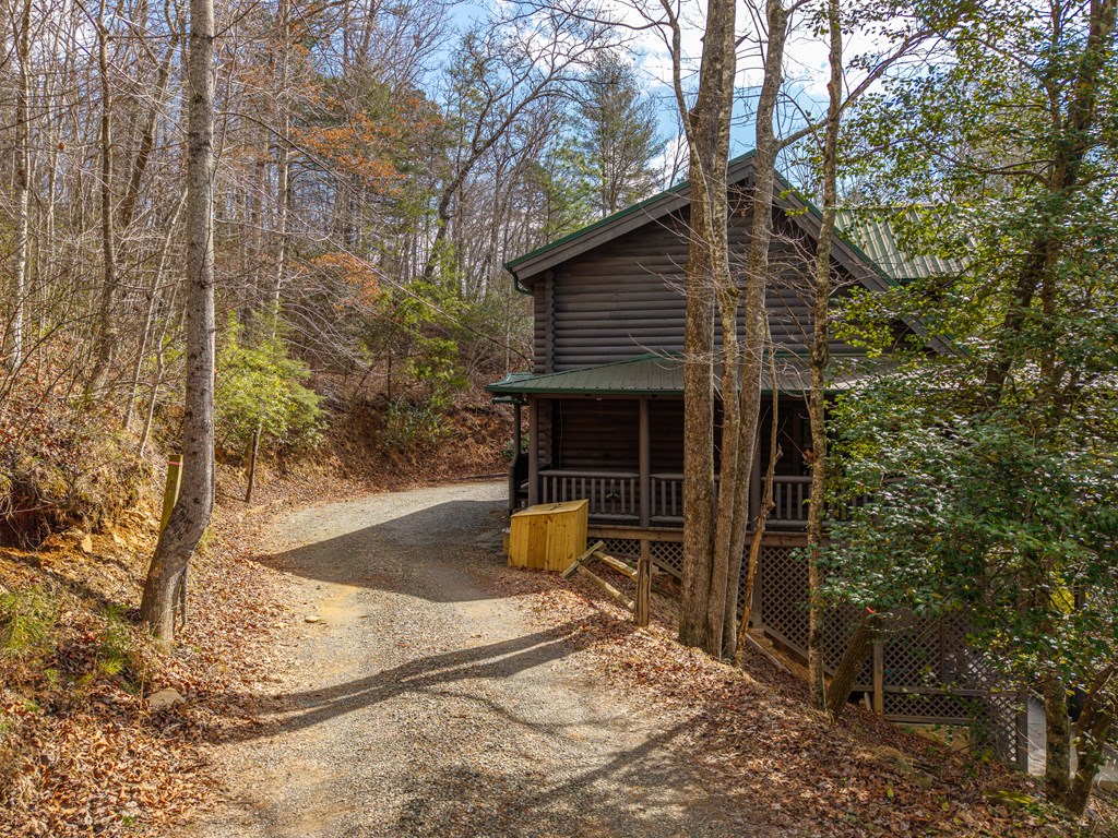 252 Branch Creek Road Blue Ridge, GA 30513 - Photo 9 of 79