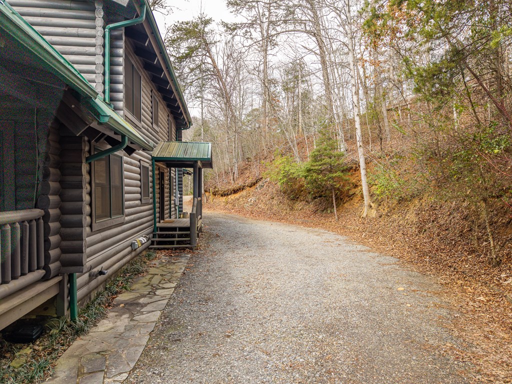 252 Branch Creek Road Blue Ridge, GA 30513 - Photo 10 of 79