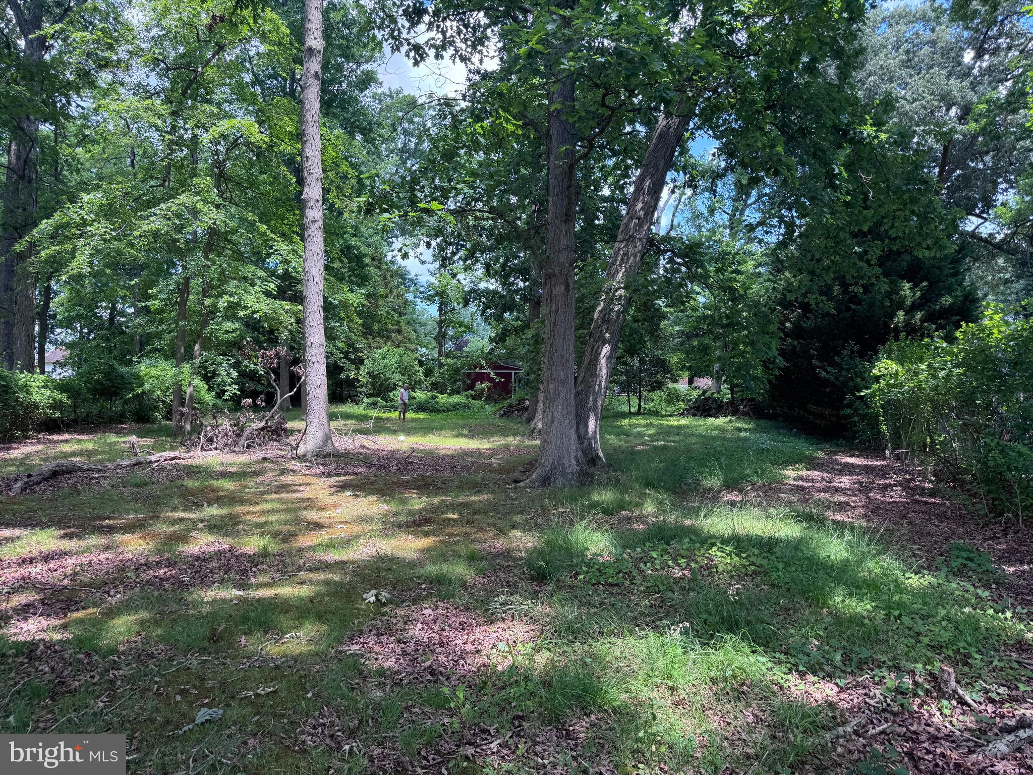 0 Darnall Road Nottingham, MD 21236 - Photo 4 of 5