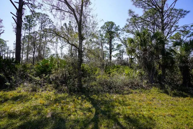 $12,000 | 15179 Watkins Avenue, Port Charlotte, FL 33953