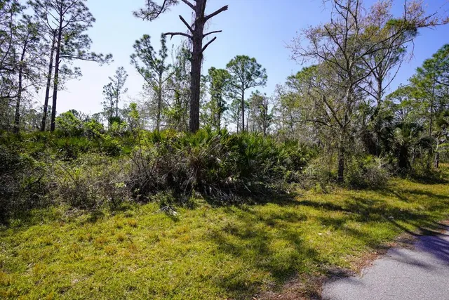 $12,000 | 15179 Watkins Avenue, Port Charlotte, FL 33953