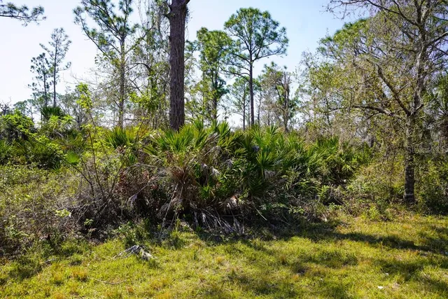 $12,000 | 15179 Watkins Avenue, Port Charlotte, FL 33953