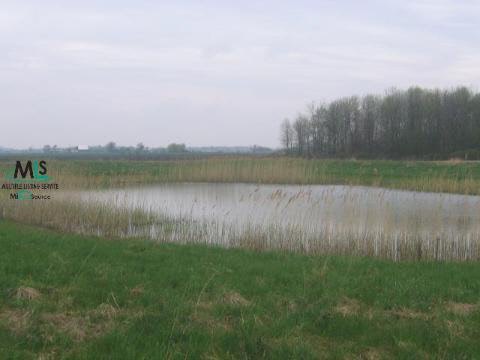 330 West Harrington Road Peck, MI 48466 - Photo 7 of 9 283659-6.JPG