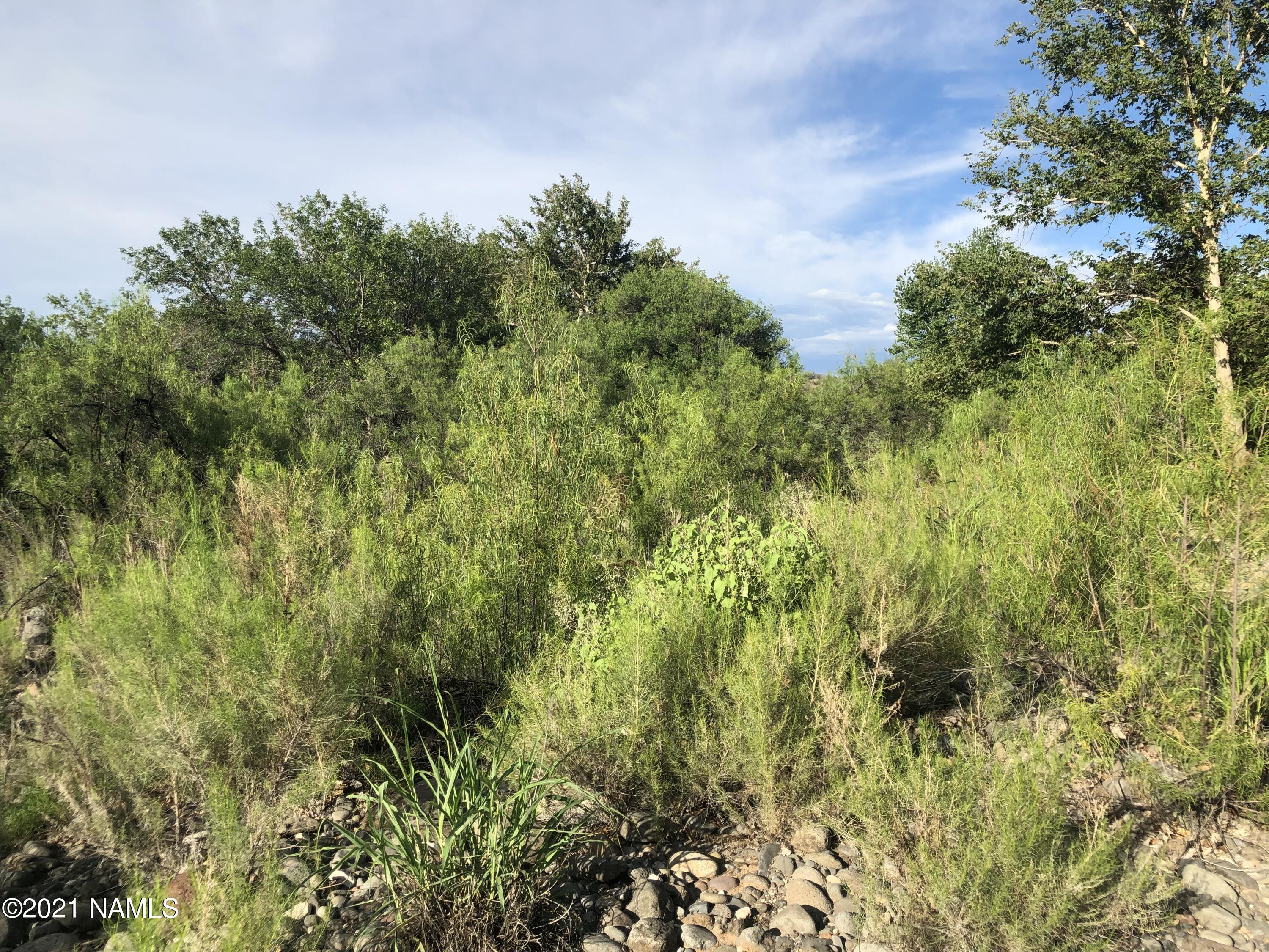 3730 Brocket Ranch Road Rimrock, AZ 86335 - Photo 15 of 33 IMG_0836