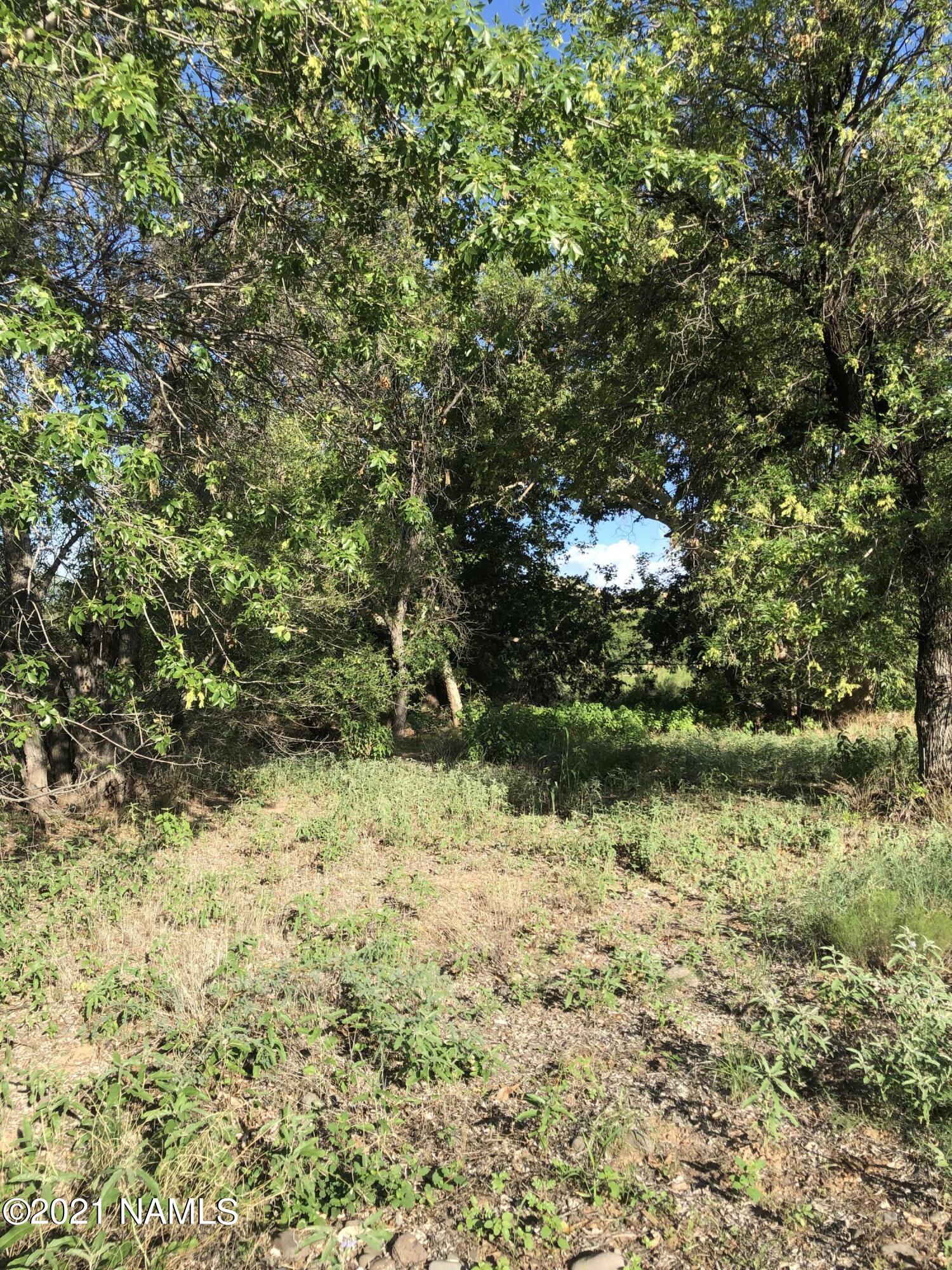 3730 Brocket Ranch Road Rimrock, AZ 86335 - Photo 20 of 33 IMG_0841