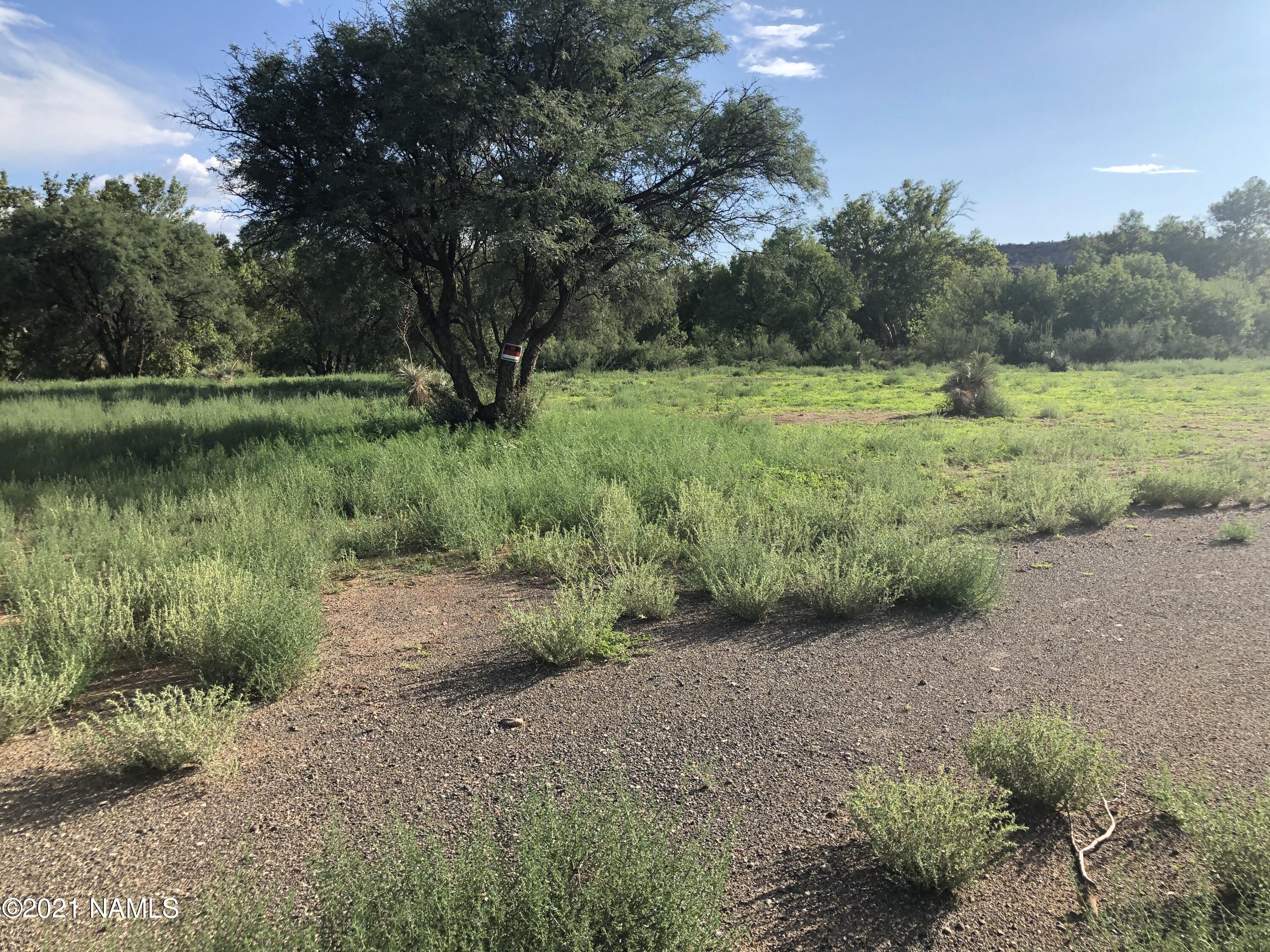 3730 Brocket Ranch Road Rimrock, AZ 86335 - Photo 25 of 33 IMG_0847