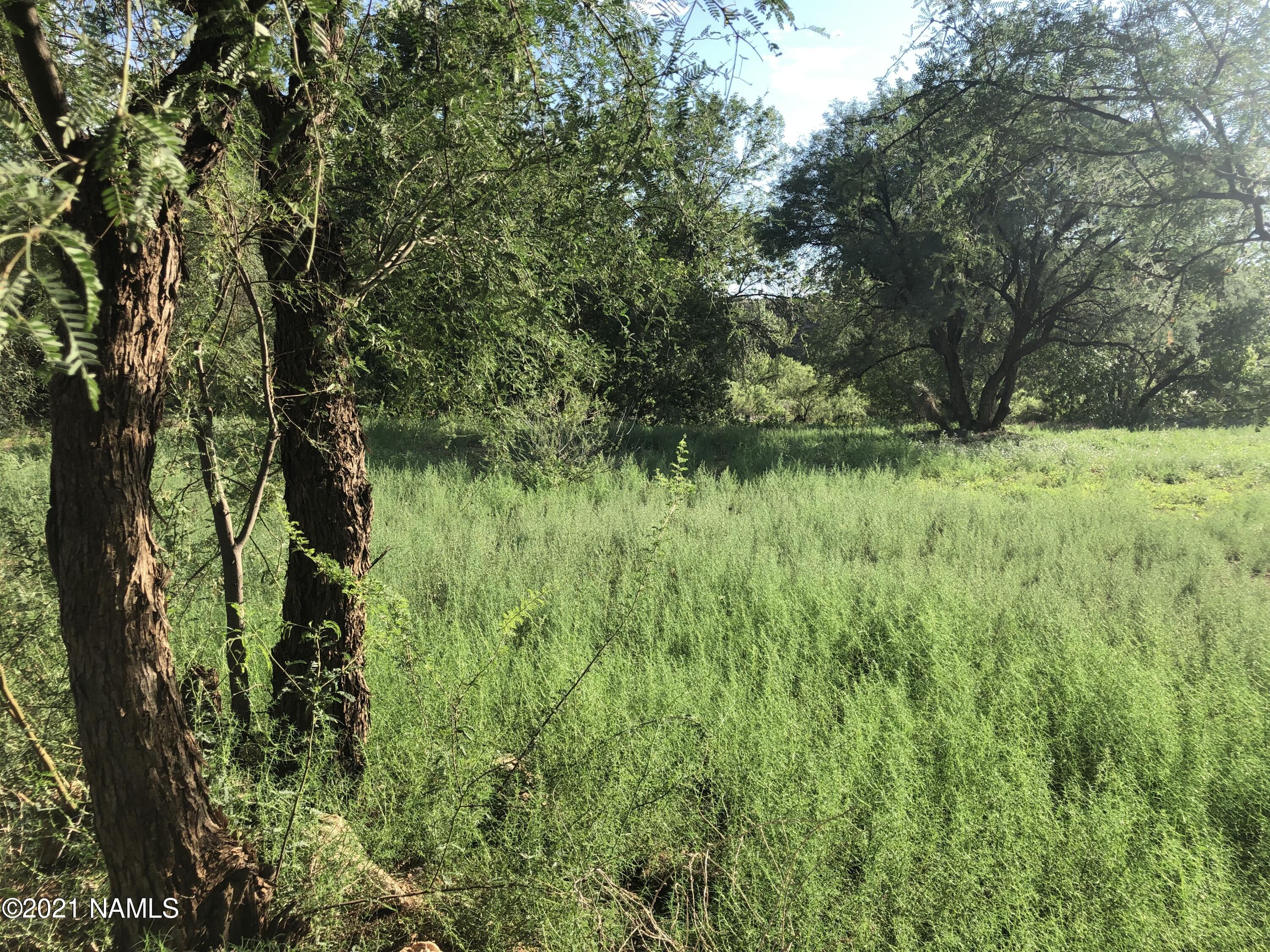 3730 Brocket Ranch Road Rimrock, AZ 86335 - Photo 27 of 33 IMG_0851
