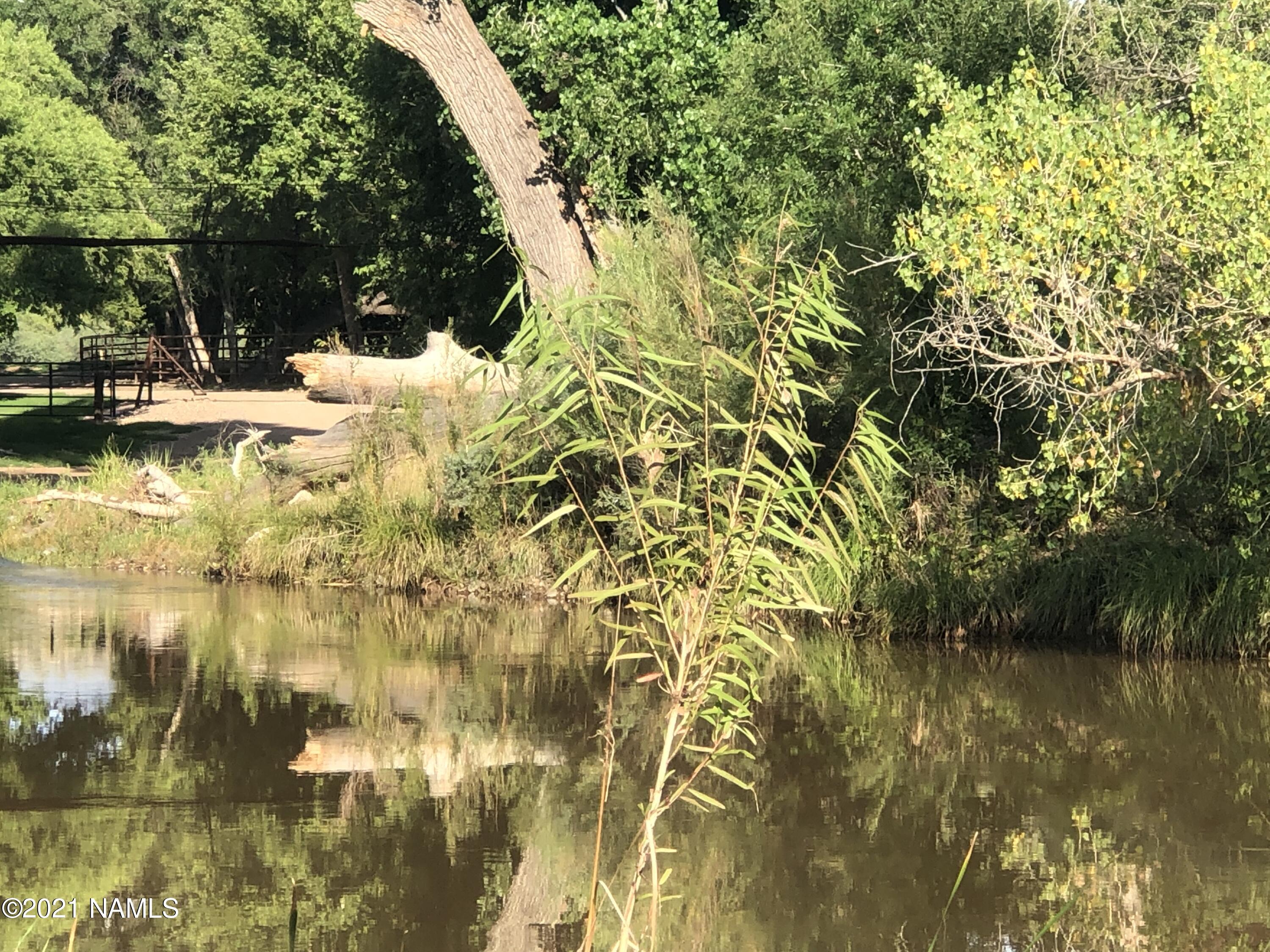 3730 Brocket Ranch Road Rimrock, AZ 86335 - Photo 3 of 33 IMG_0822