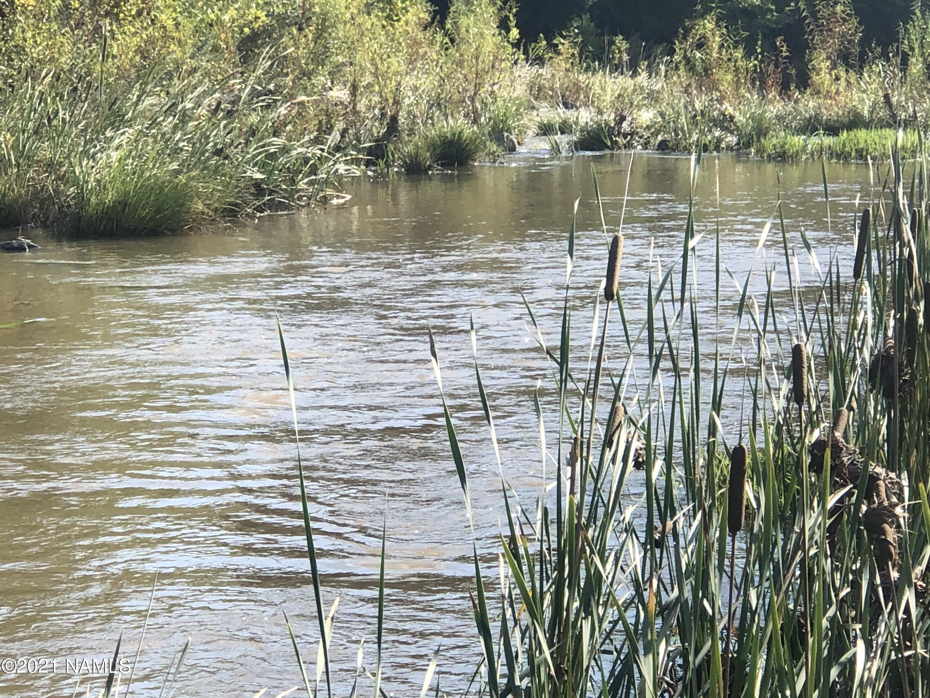 3730 Brocket Ranch Road Rimrock, AZ 86335 - Photo 5 of 33 IMG_0824