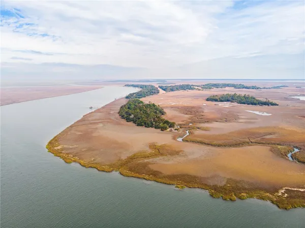 $899,000 | 0 Lower Barbour Island, Townsend, GA 31331