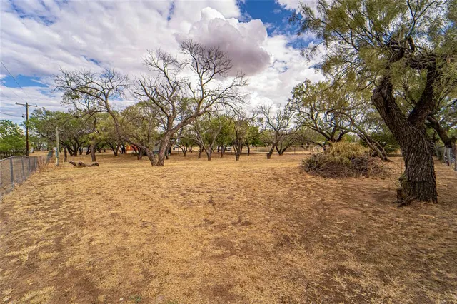 a view of snow with trees