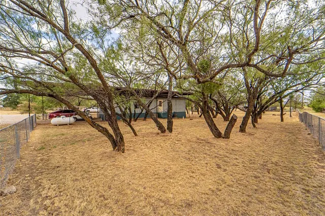 a view of road and trees