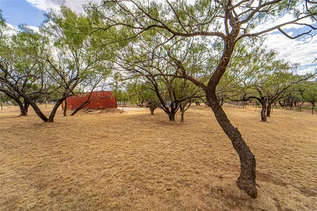 a view of empty space and trees