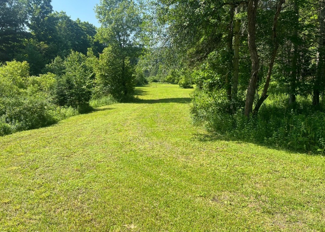 538 Hargrave Road Windsor, NY 13865 - Photo 3 of 3