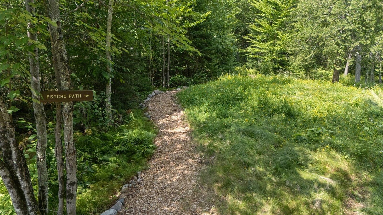 540 Loop Road Ely, MN 55731 - Photo 14 of 20 View of tree filled area