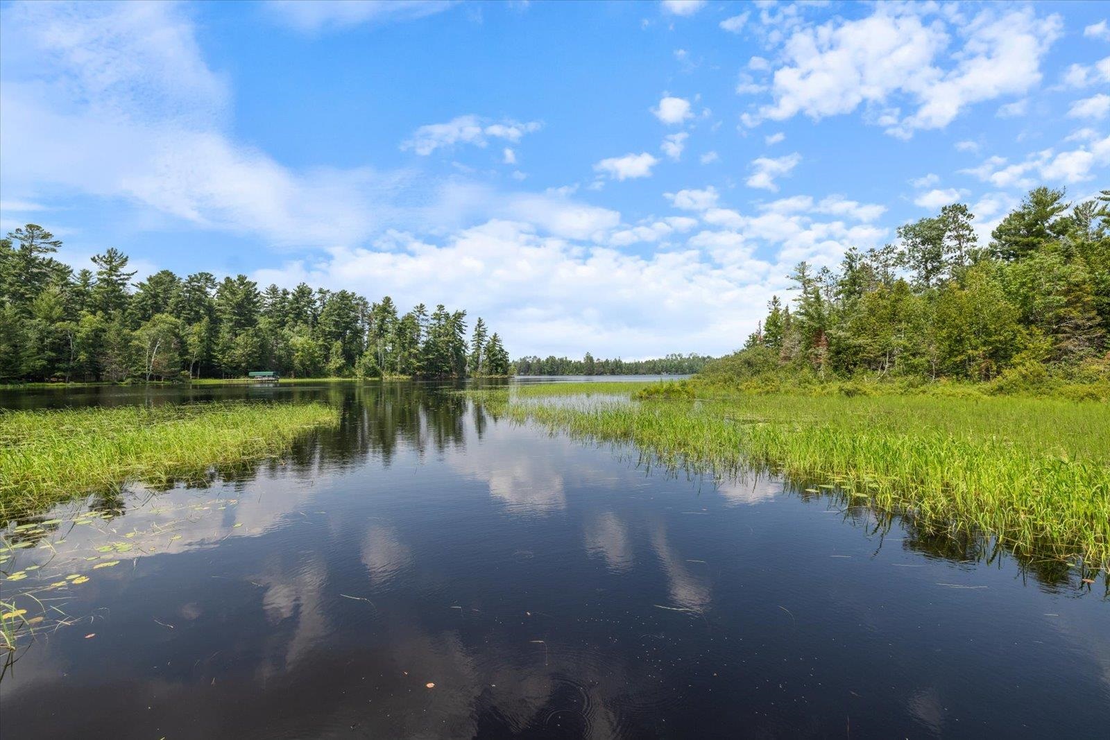 540 Loop Road Ely, MN 55731 - Photo 8 of 20 Water view featuring a forest