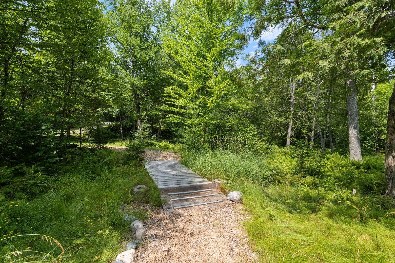 540 Loop Road Ely, MN 55731 - Photo 10 of 20 View of road with a wooded view