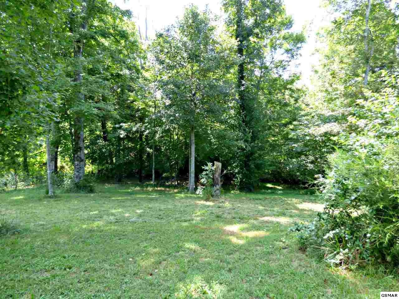 3075 Wilson Road Strawberry Plains, TN 37871 - Photo 18 of 25 Gallery Image 18