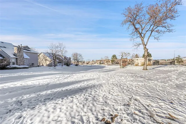 a view of road with large trees