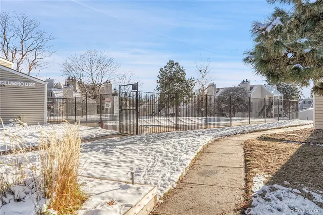 a view of a yard with trees in the background