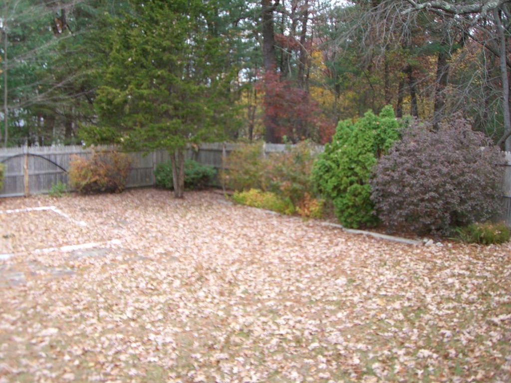 16 College Road Burlington, MA 01803 - Photo 2 of 12 Gallery Image 2