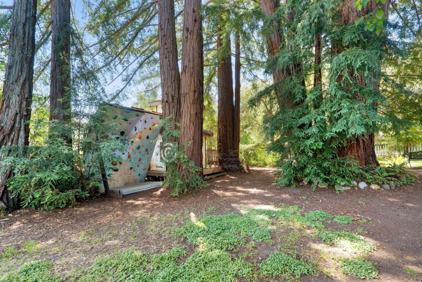 280 Main Street Ben Lomond, CA 95005 - Photo 37 of 47 a view of a backyard with large trees
