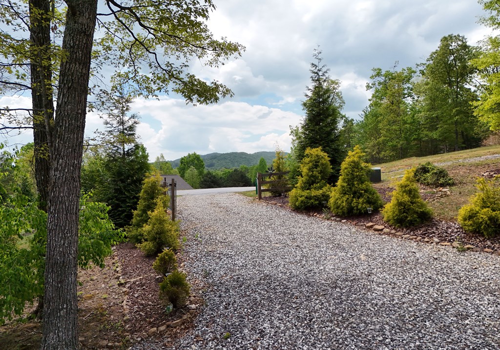 83 Highland Road Blairsville, GA 30512 - Photo 11 of 32 a view of a garden with plants and trees