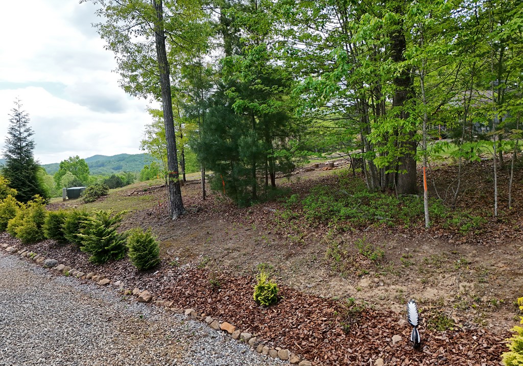 83 Highland Road Blairsville, GA 30512 - Photo 14 of 32 a view of a yard with lots of green space