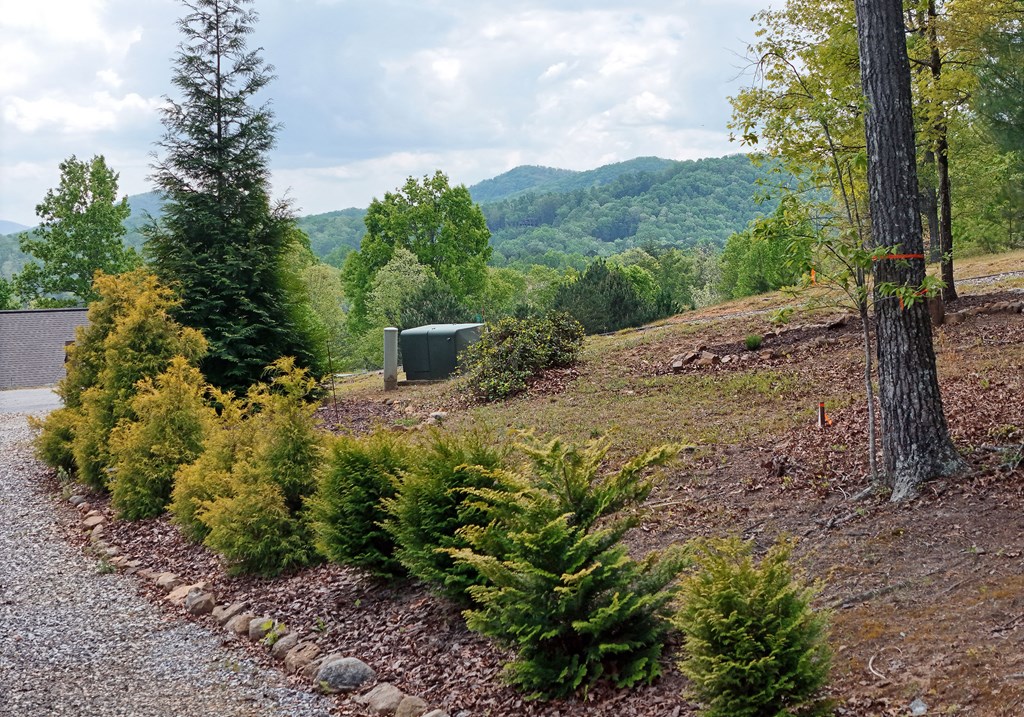83 Highland Road Blairsville, GA 30512 - Photo 7 of 32 a view of a house with a yard