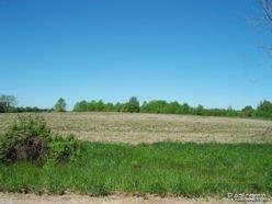 702 South Loree Road Carsonville, MI 48419 - Photo 1 of 1 pic