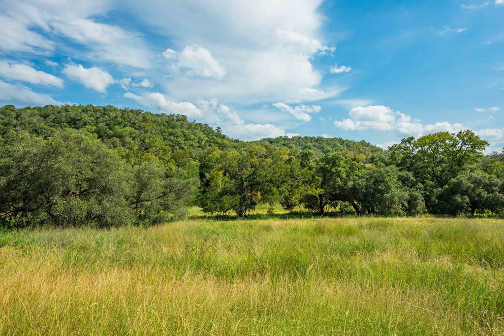 0 Fm 1888 Blanco, TX 78606 - Photo 11 of 31 a view of a city