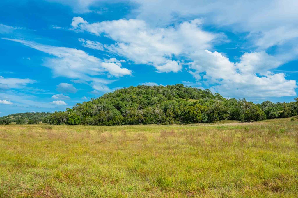 0 Fm 1888 Blanco, TX 78606 - Photo 12 of 31 a view of yard with ocean view