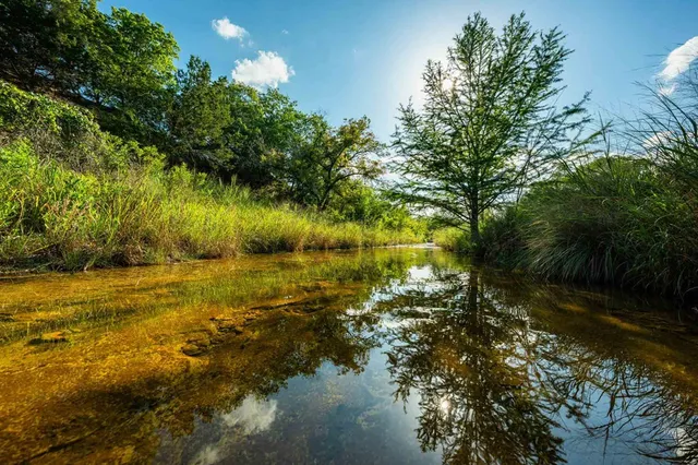 a view of lake with green space