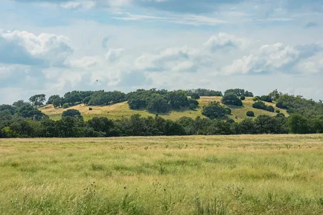 a view of a grassy field