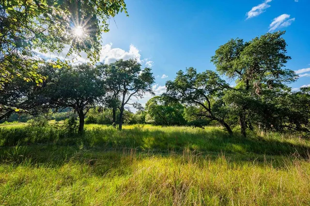 a view of lake with green space