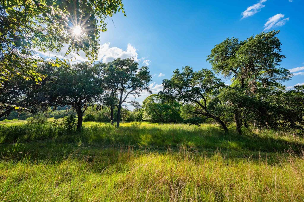 0 Fm 1888 Blanco, TX 78606 - Photo 27 of 31 a view of lake with green space