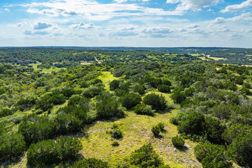 0 Fm 1888 Blanco, TX 78606 - Photo 6 of 31 a view of a bunch of trees and houses