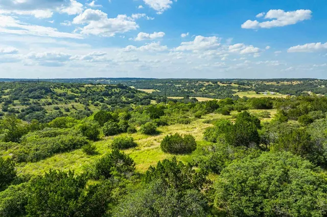 a view of a bunch of trees in a field