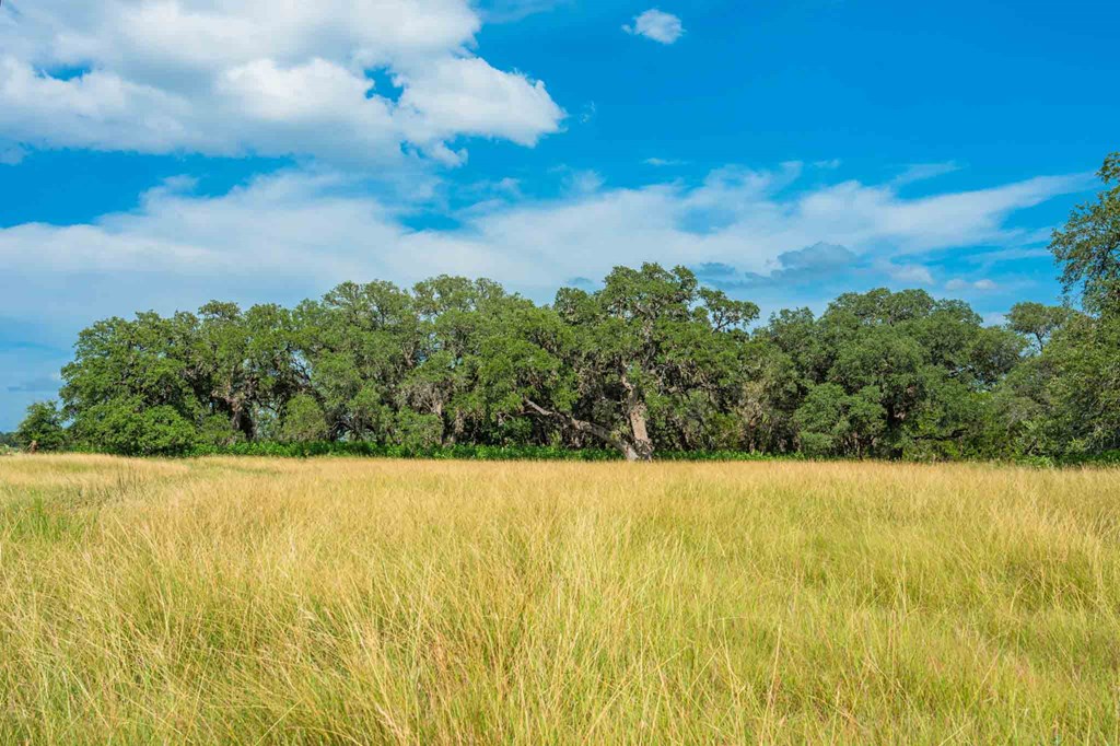 0 Fm 1888 Blanco, TX 78606 - Photo 10 of 31 a view of sky from window