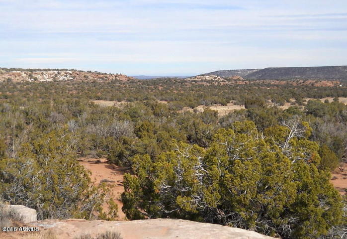 3724 Dusty Road, Unit 6 Snowflake, AZ 85937 - Photo 8 of 15 20170107231836652104000000-o