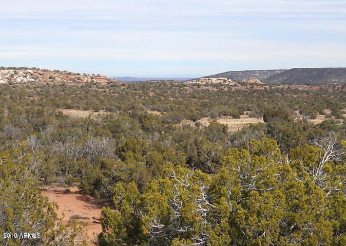 3724 Dusty Road, Unit 6 Snowflake, AZ 85937 - Photo 9 of 15 20170107231841292433000000-o