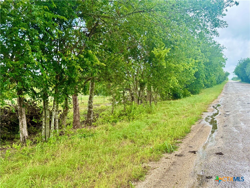 0 Engelke Road Kyle, TX 78640 - Photo 4 of 14 Gallery Image 4