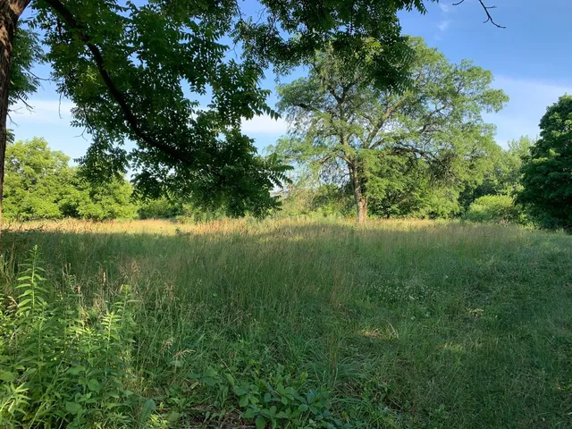 a view of a lake with a yard