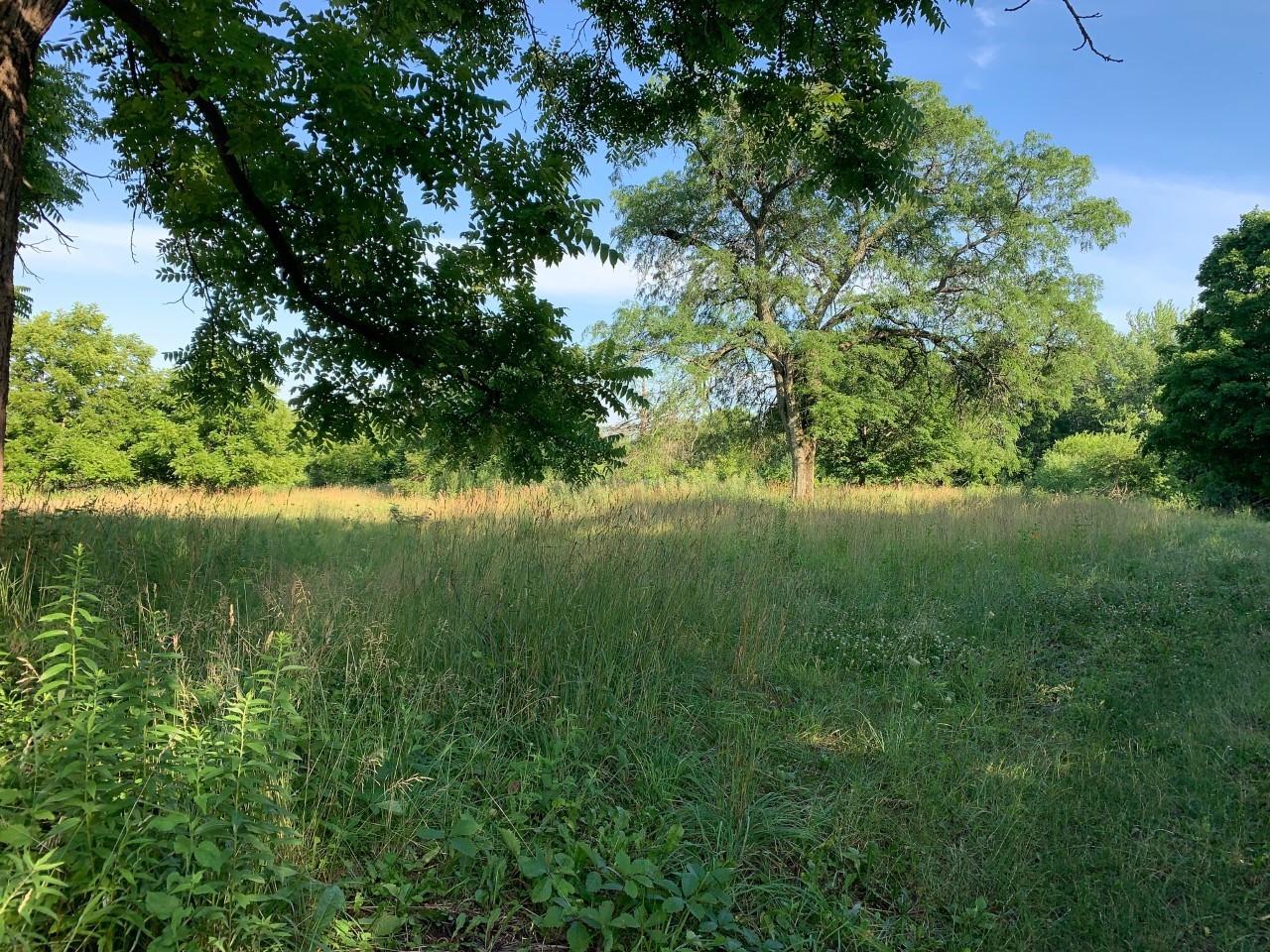 3523 West Long Grove Road Long Grove, IL 60047 - Photo 2 of 23 a view of a lake with a yard