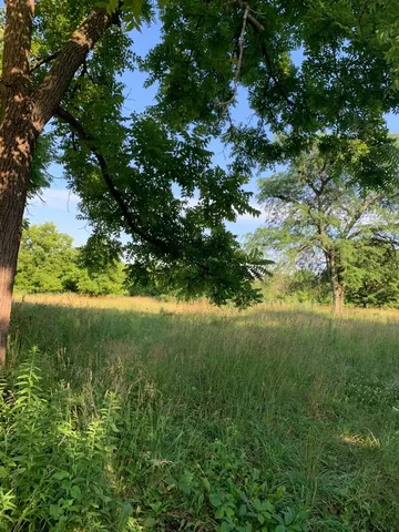a view of a yard with a tree