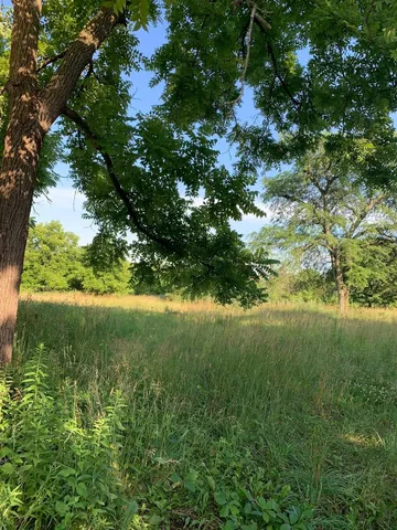a view of a yard with a tree