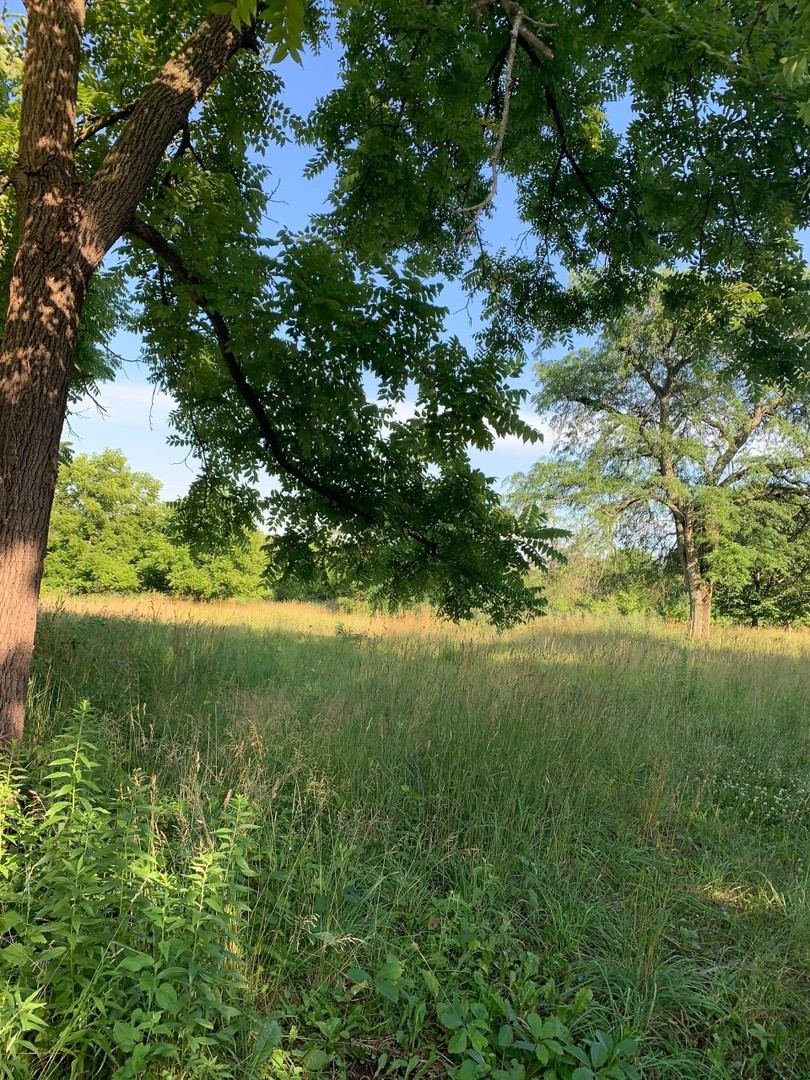 3523 West Long Grove Road Long Grove, IL 60047 - Photo 23 of 23 a view of a yard with a tree